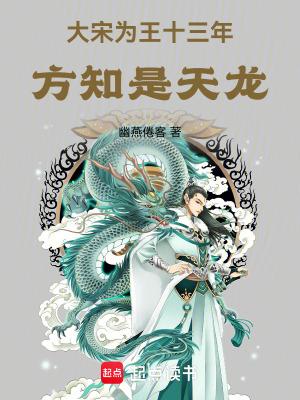 大宋为王十三年方知是天龙 笔趣阁