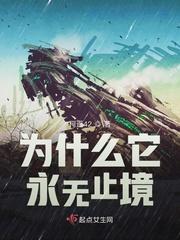 为什么它永无止境有男主吗