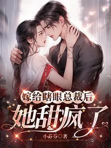 嫁给瞎子老公
