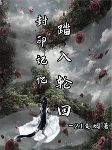 封印之回归 风的印迹