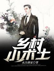 乡村小术士南墙阅读