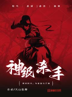 s级杀手都市