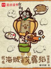 我在海贼写书的