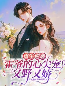 重生之霍爷宠妻超狂