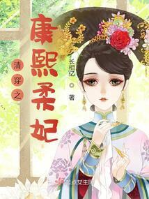 清穿之康熙柔妃晋江