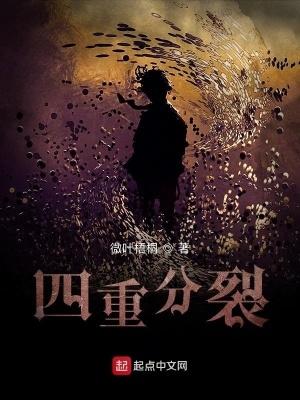 四重分裂介绍