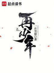 许我再少年的完整诗句