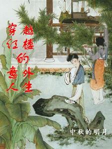 主角穿越红楼