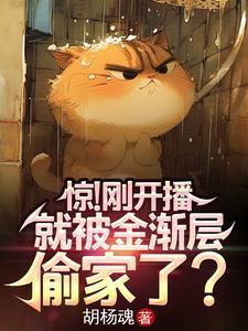 金渐层的视频