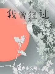 我曾经来过我曾经爱过