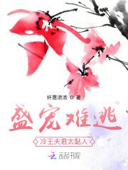 冷王盛宠小医妃无弹窗