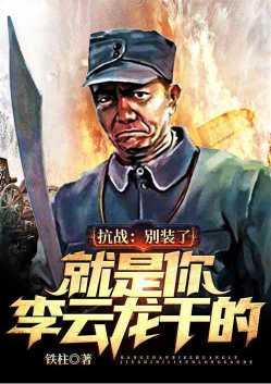 抗战 别装了你就是李云龙