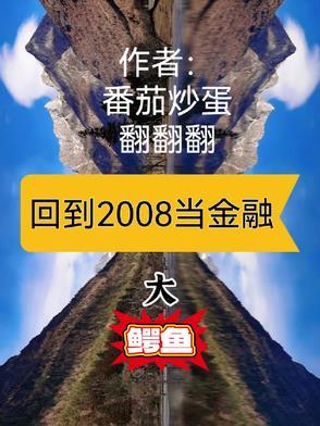 回到2008女主
