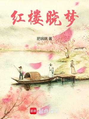 电视剧红楼梦小红