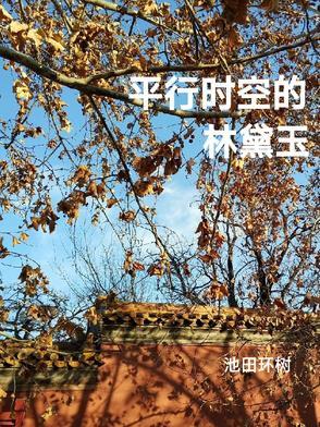 平行时空的经历