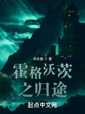 霍格沃茨之归途无错完整