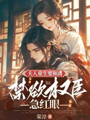 重生夫人