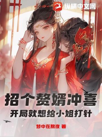 招个赘婿什么意思