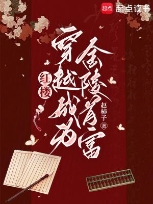 红楼穿越成为金陵首富的