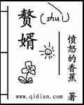 赘婿免费全集完整版在线观看