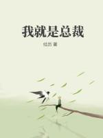 我就是总裁夫人