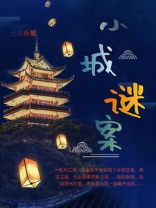 小城少年凶杀案
