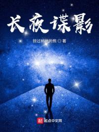 长夜谍影免费笔趣阁